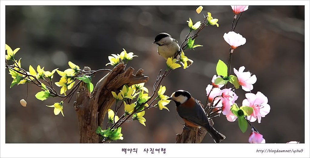 아름다운연출 이미지