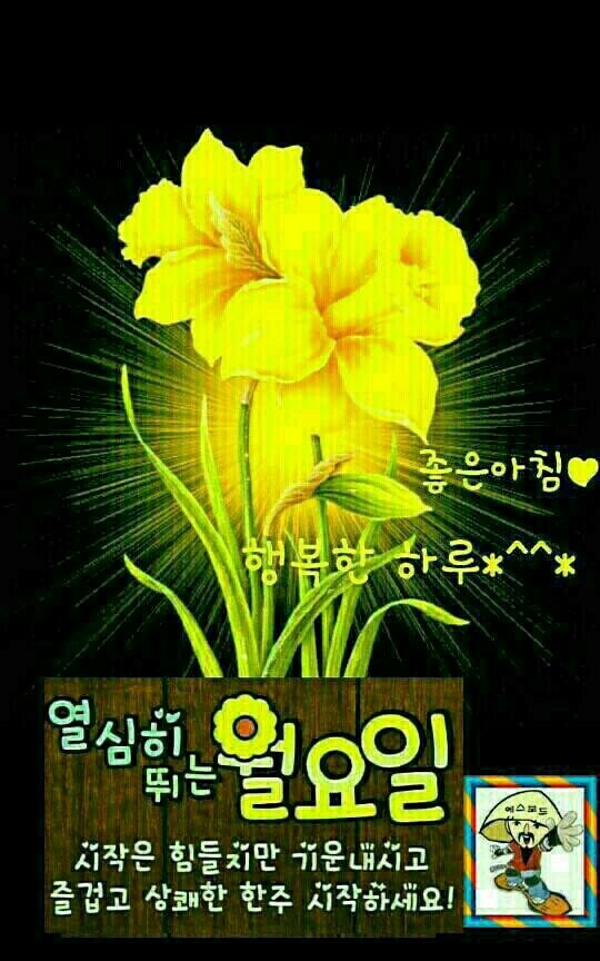코노 이미지