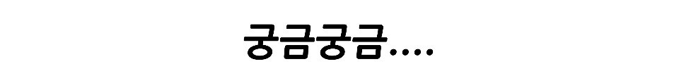 펭귄한테 역관광 당한 사람들 | 인스티즈