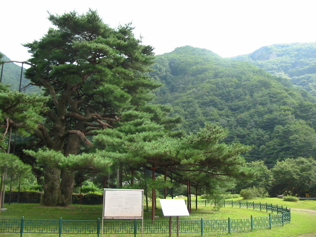 부인수리 이미지