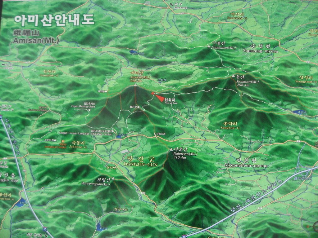벚꽃눈썹 이미지