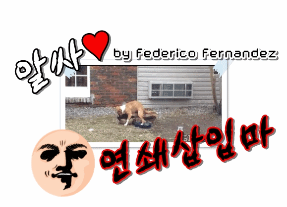 신난 예리를 바라보는 케이.gif | 인스티즈