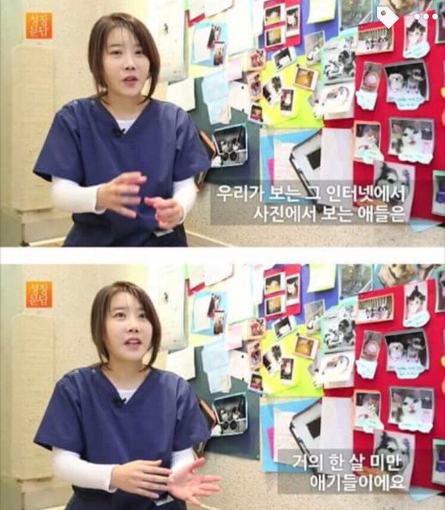강아지나 고양이를 키우려는 사람들에게 | 인스티즈
