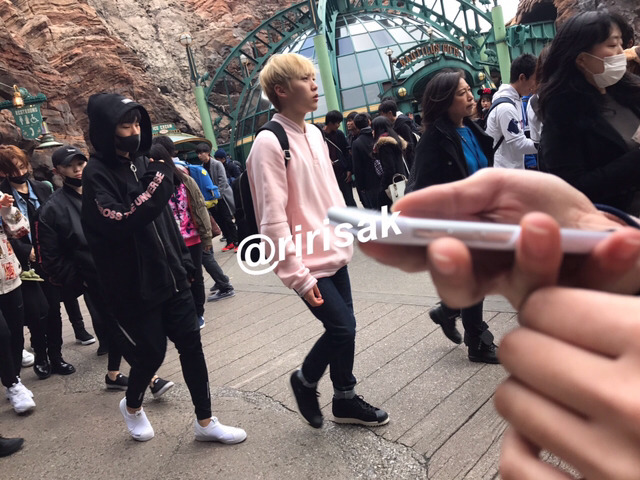 호시 이미지