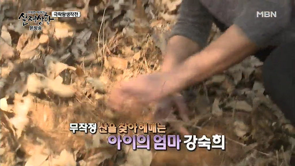 차가운 야산에 묻힌 12살 정우의 안타까운 사건 '기막힌 이야기 실제상황' (2) | 인스티즈