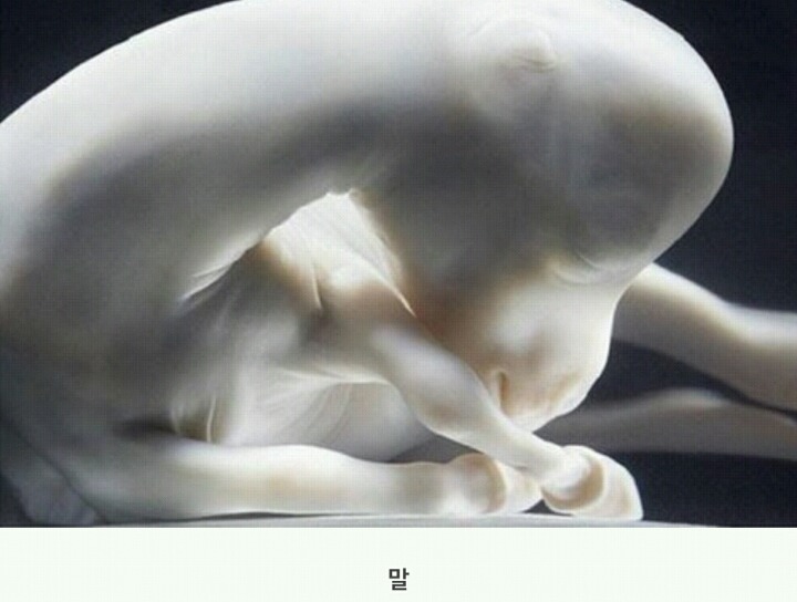 동물들이 어미에게서 나오기 전 | 인스티즈