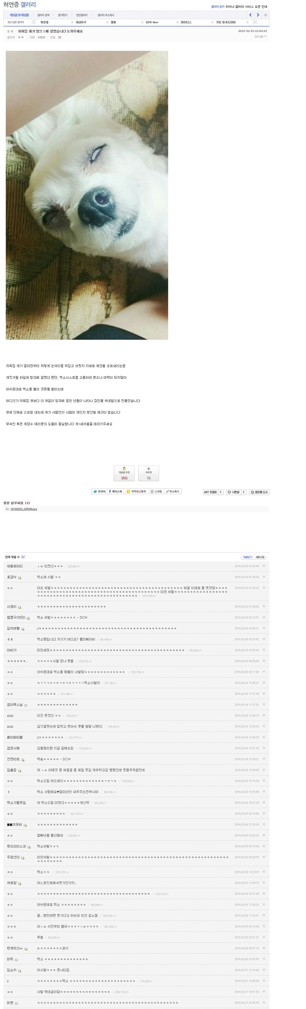 브금] 저희집 개가 빙으ㅣ에 걸렸습니다. 도와주세요 | 인스티즈