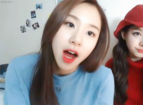 트와이스 덕질의 종착지 채영 | 인스티즈
