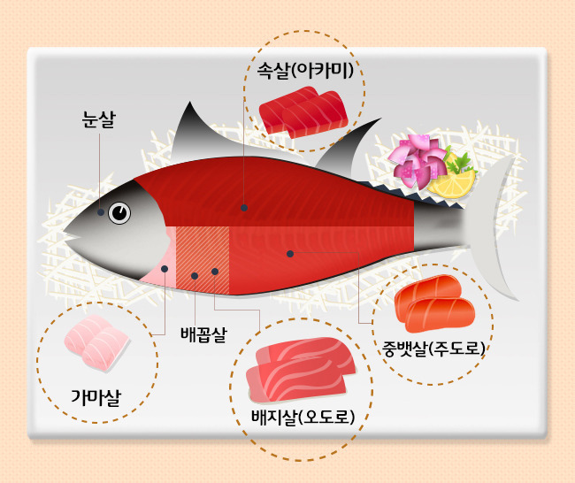 참치회 아는 척 하기 | 인스티즈