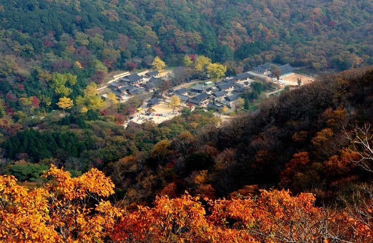 169 이미지