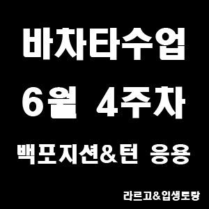 백포차 이미지