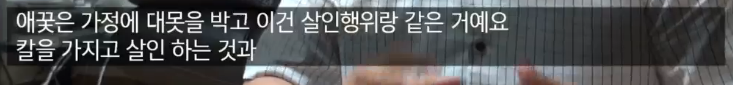 음주운전이 혐오스로운 이유 (Feat. 추적60분) 와이파이권장 | 인스티즈