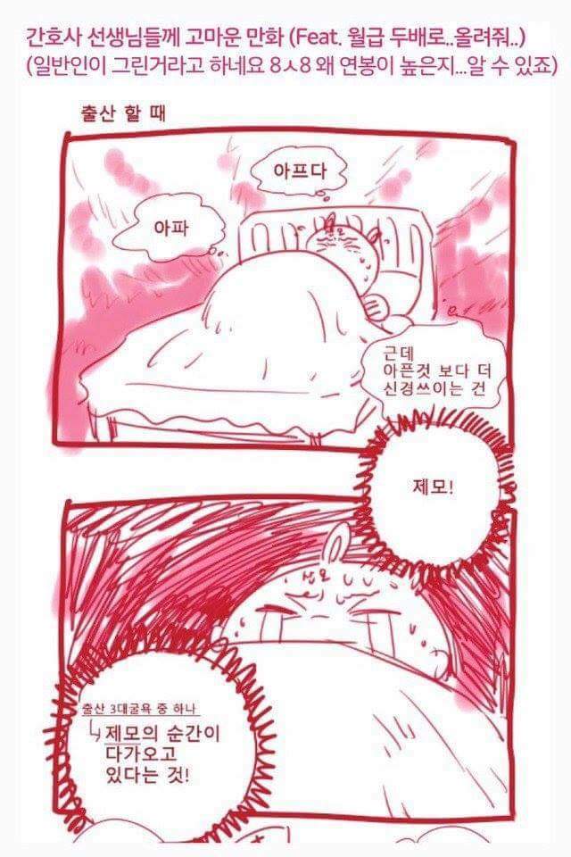 간호사들이 연봉 높은 이유가 무엇? | 인스티즈