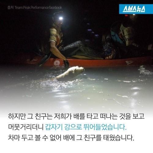 길에서 만난 친구 .jpg | 인스티즈
