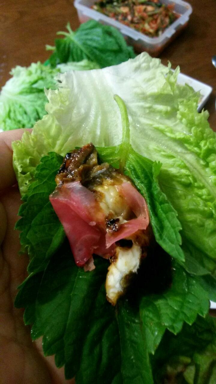 자연산바다장어 이미지