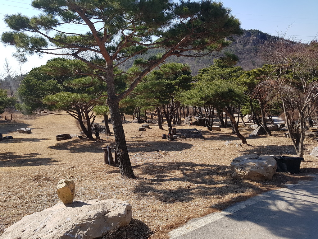 솔내음식당 이미지