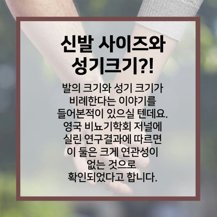 남성 성기에 대한 진실 | 인스티즈