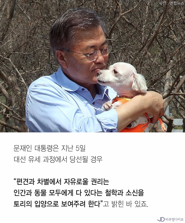 유기견"토리"청와대 입성할까... 문재인의 반려동물 5대 공약 | 인스티즈