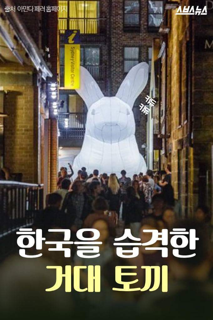 한국을 습격한 거대 토끼 | 인스티즈