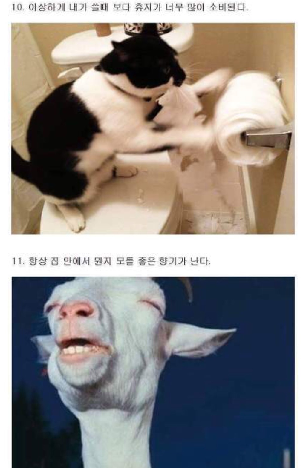 여자와 같이 살면 생기는 일들 | 인스티즈