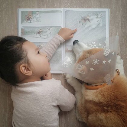 시바견 퐁퐁과 2살 소녀 필로(귀여움 주의) | 인스티즈