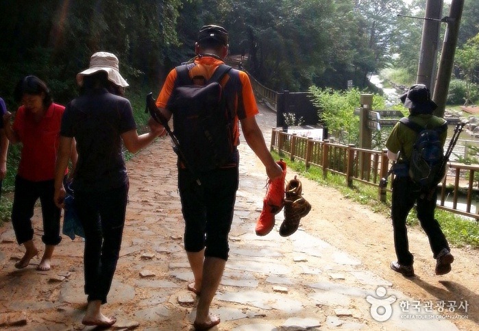 초아랑 대전 계족산 황톳길 가고 싶다 | 인스티즈