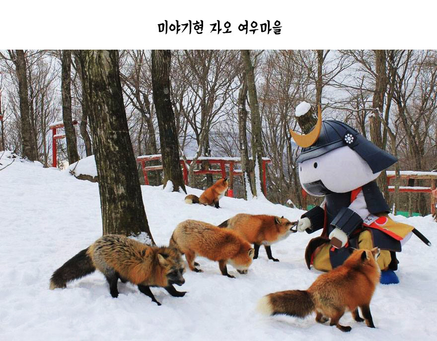 열도의 마을.jpg | 인스티즈