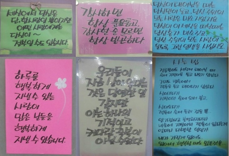 운주산오리 이미지