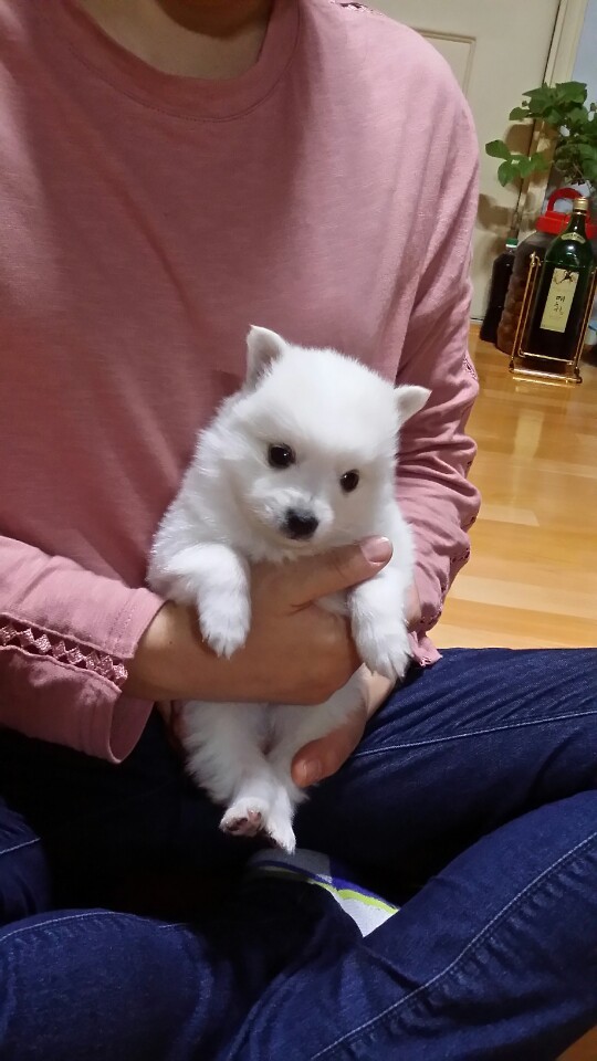 우리집 꼬물이.jpg (* 심장 터짐 각오하고 들어오시길) | 인스티즈