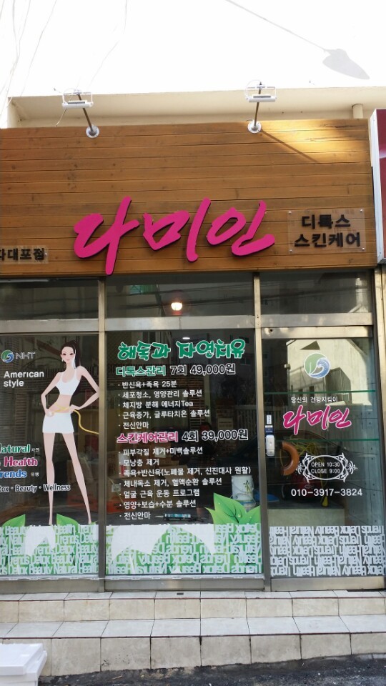 다미인 이미지
