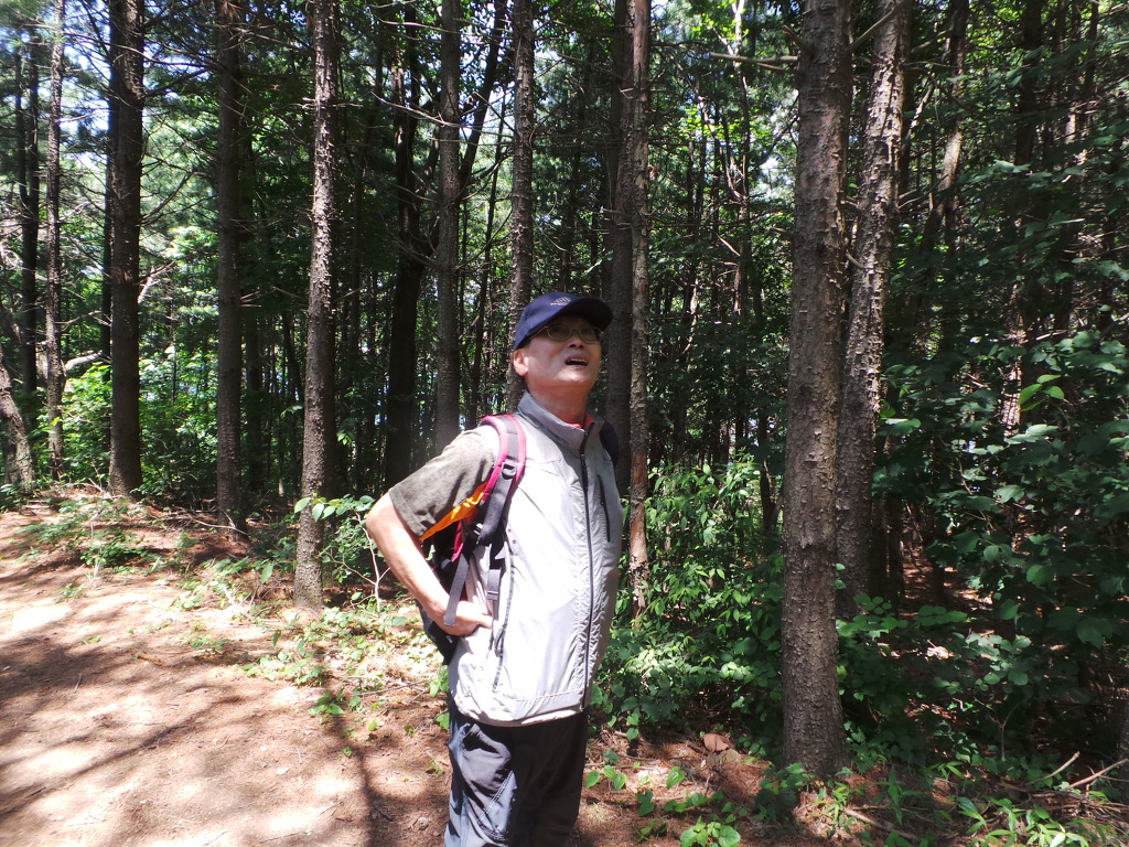 호수피아노 이미지