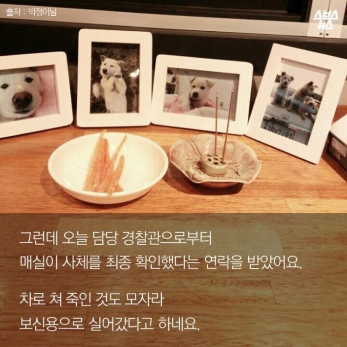 가족같은 강아지의 죽음 | 인스티즈