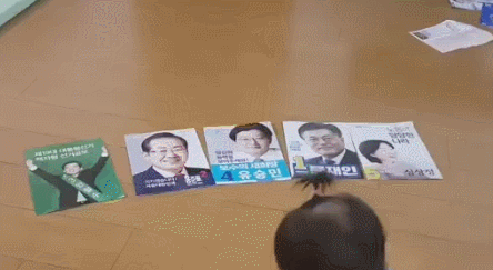 대선 당선자 예측 | 인스티즈