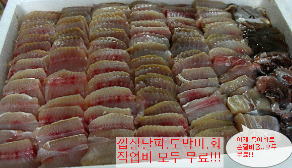홍어회전문 이미지