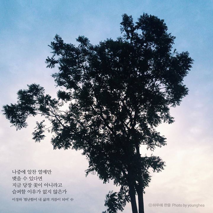 누가 먼저 말해주면 좋겠다 거짓말이라도 좋으니까 넌 참 잘하고 있다고 | 인스티즈