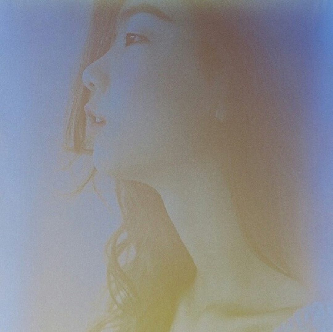 호정 이미지