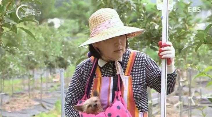  당신은 반려동물과 이별할 준비가 되었나요? | 인스티즈