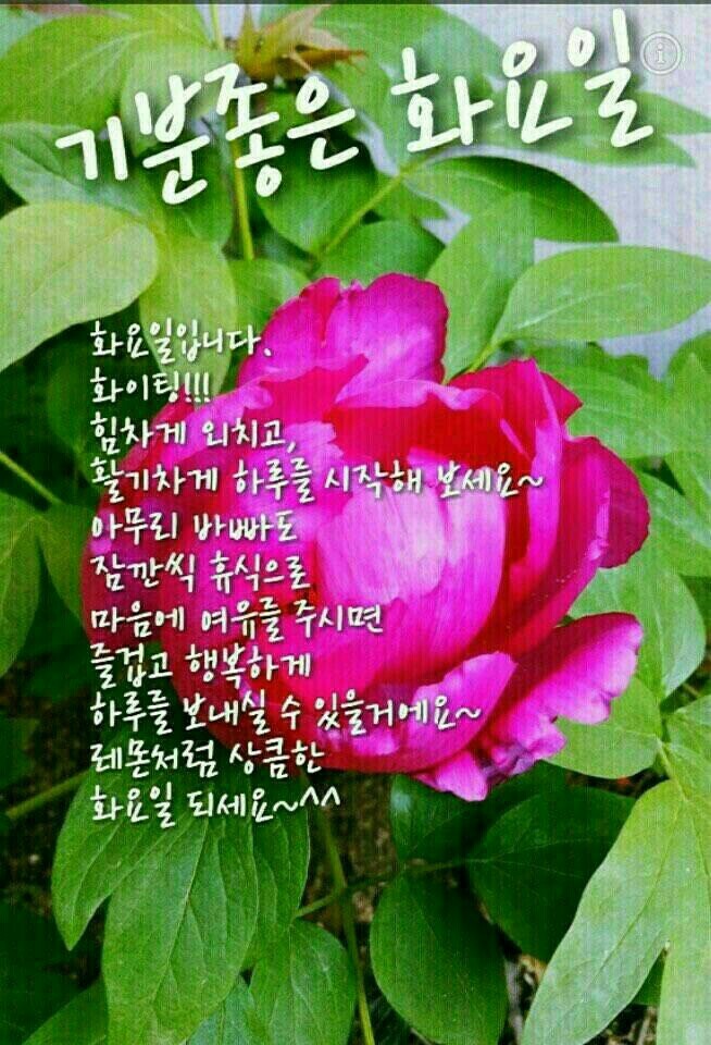 화요일 이미지