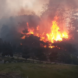 강릉 산불 상황 | 인스티즈