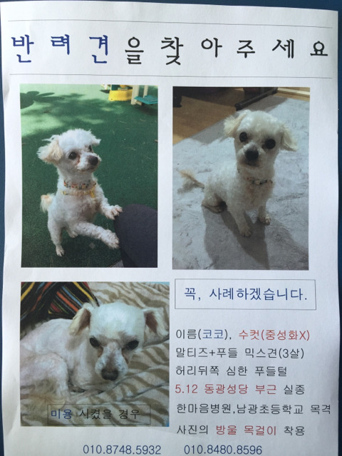 코코네 이미지