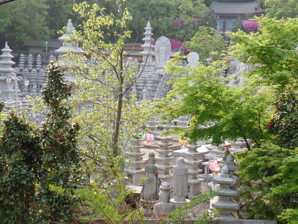 5000년전 마한시대 고인돌이 있는 전주 황방산 공원 산책하기 (안구정화) | 인스티즈