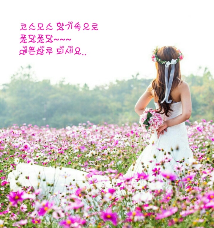 Dday 이미지