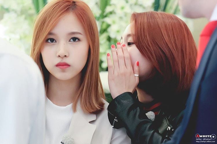 [트와이스] 대표 케미 미챙(미나+채영) 짤들.jpg | 인스티즈