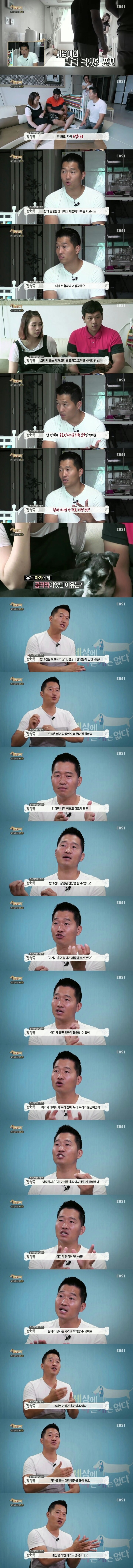 [세나개] 아기를 질투하는개.jpg | 인스티즈