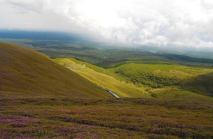 한반도에서 맛보는 스위스.jpg | 인스티즈