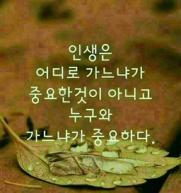 한잔술에 이미지