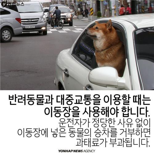 카드뉴스 늘어나는 반려동물…법 미리 알아두자 | 인스티즈