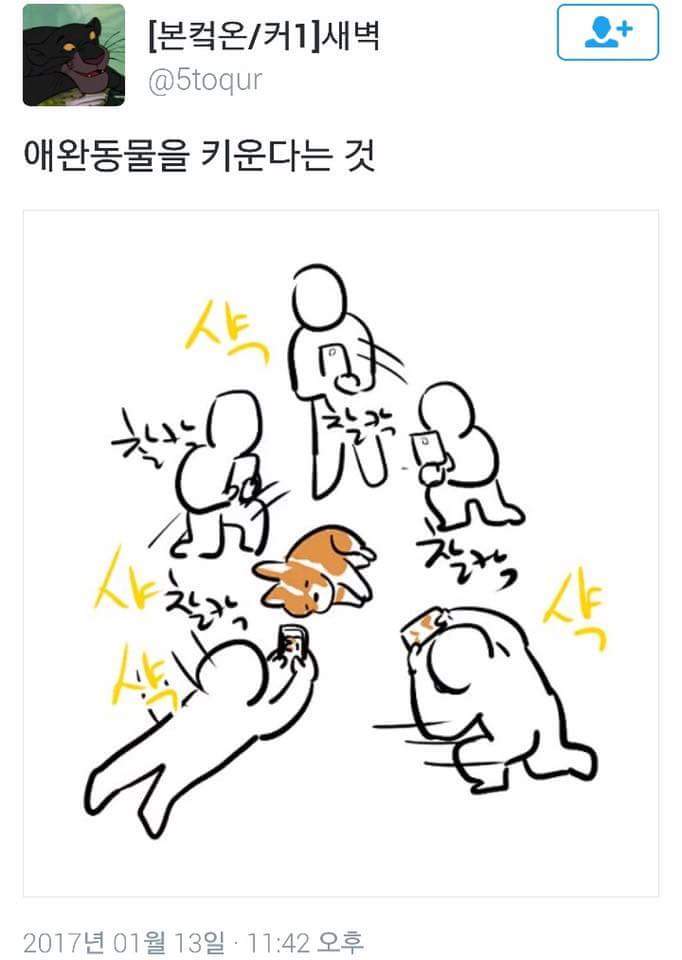 애완동물을 키운다는 것.jpg | 인스티즈