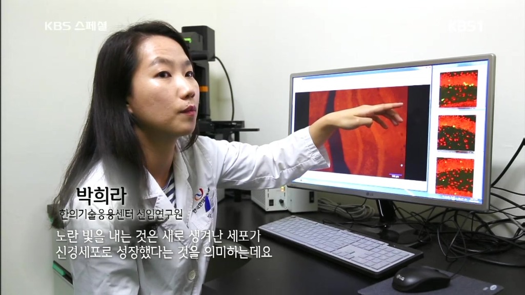 세계가 말하는 한의학과 동의보감 | 인스티즈