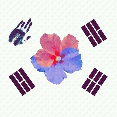 3.1절 태극기 다는 법 | 인스티즈